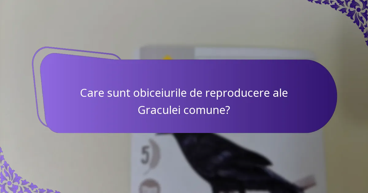 Care sunt obiceiurile de reproducere ale Graculei comune?