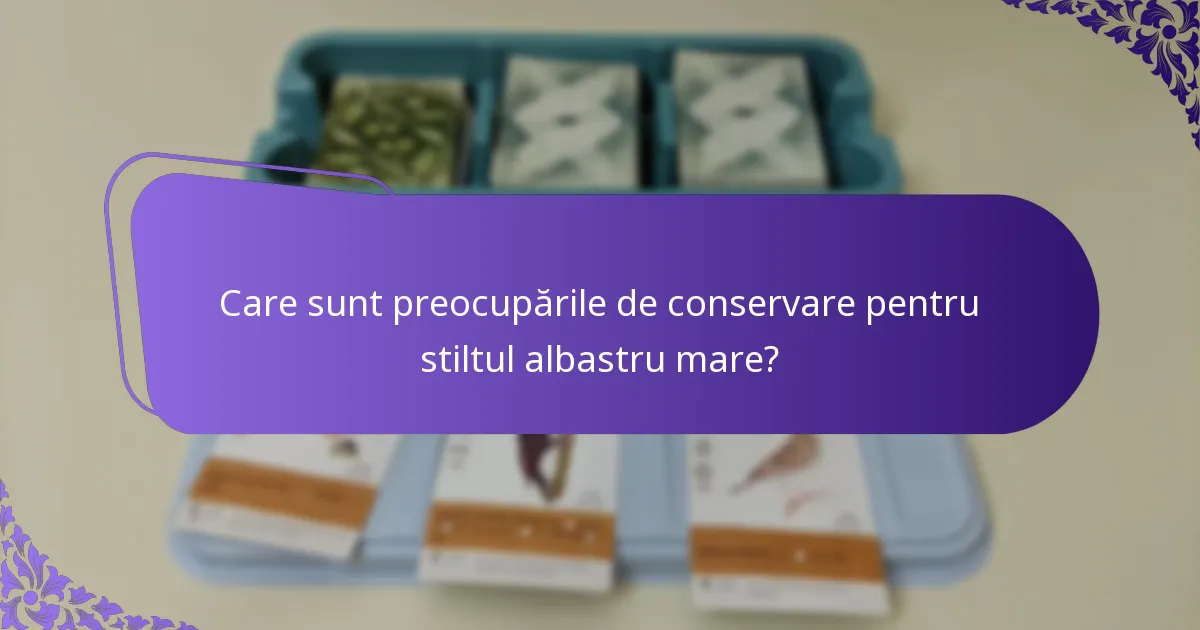 Unde trăiește stiltul albastru mare?