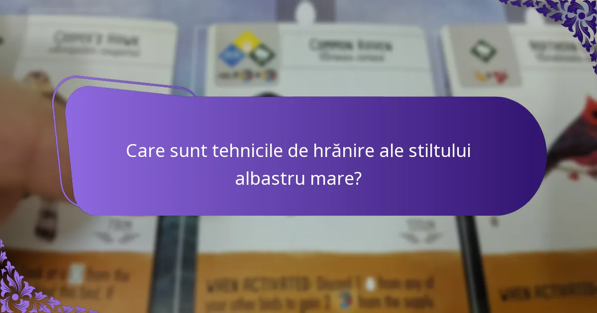 Cum cuibărește stiltul albastru mare?