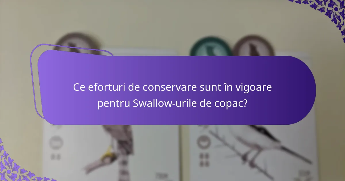 Cum interacționează Swallow-urile de copac cu ecosistemul lor?
