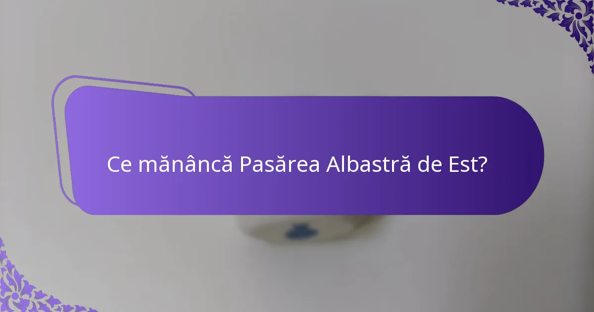 Ce mănâncă Pasărea Albastră de Est?