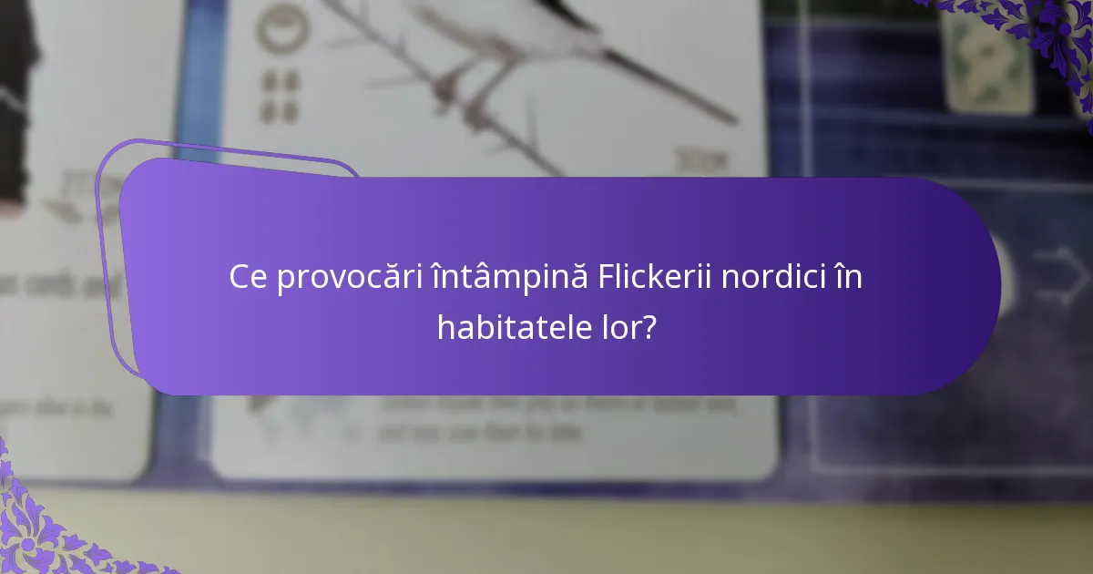 Cum își construiesc Flickerii nordici cuiburile?