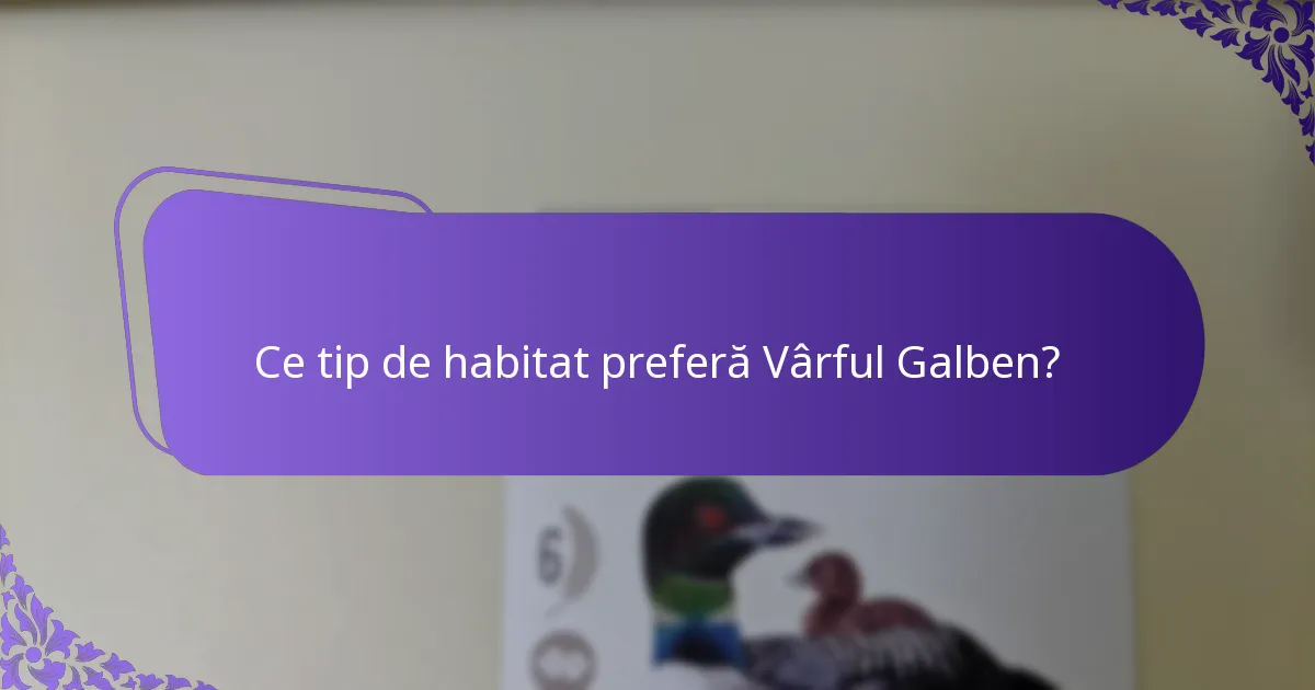 Cum sună cântecul Vârfului Galben?