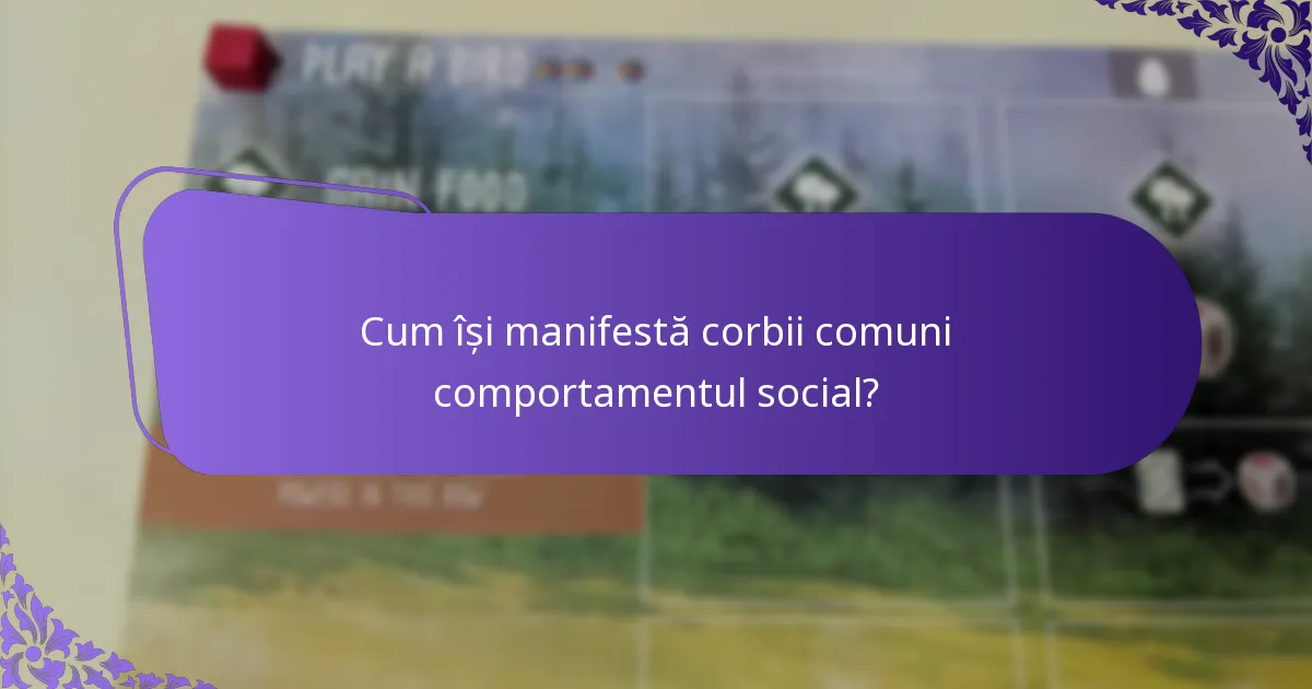 Care este statutul de conservare și amenințările pentru corbii comuni?