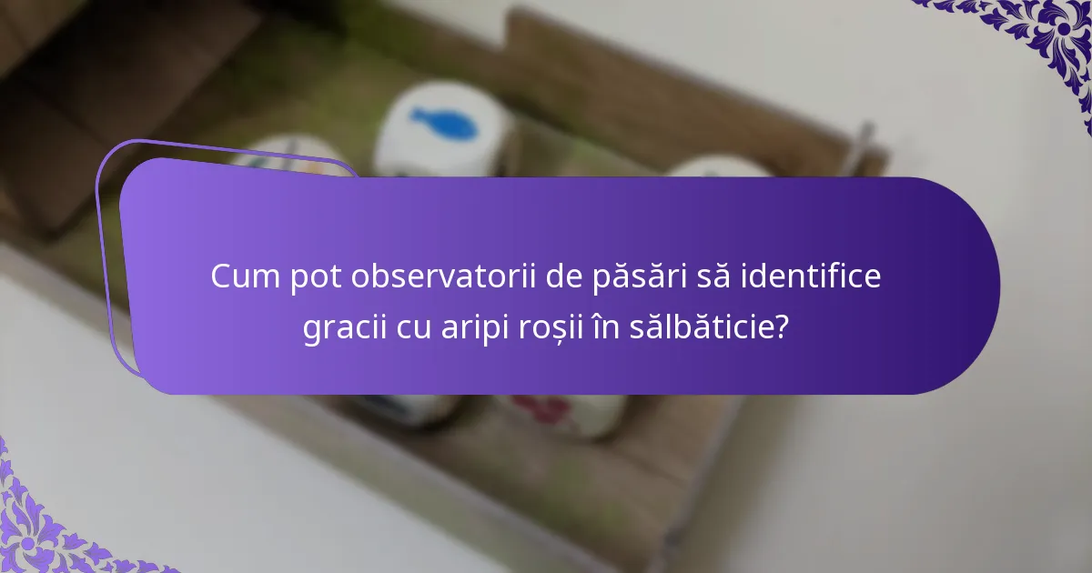 Cum pot observatorii de păsări să identifice gracii cu aripi roșii în sălbăticie?