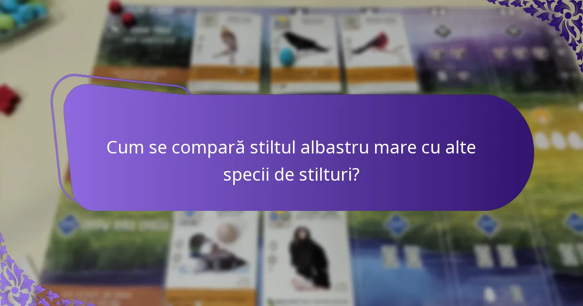 Cum se compară stiltul albastru mare cu alte specii de stilturi?